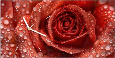 Produktbild von Wanduhr aus Glas mit Motiv Wassertropfen Rose- 60 x 30 cm - inkl. Aufhängesystem