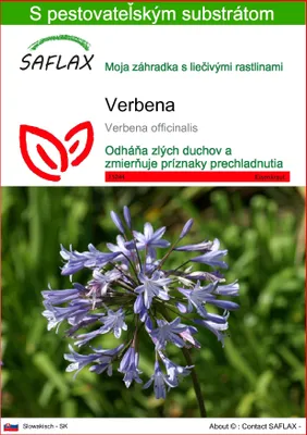 Obrázok produktu pre SAFLAX - Verbena - Verbena officinalis - 250 Semená - S pestovateľským substrátom bez klíčkov