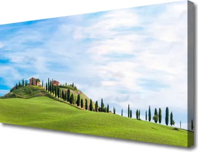 Produktbild von Tulup Leinwand-Bilder 100x50 Wandbild Canvas Kunstdruck Wiese Bäume Landschaft