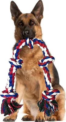 Produktbild von Unzerstörbares Hundespielzeug-Seil, 95 cm XXL-Hundeseil für langlebiges Trainingsspielzeug für aggressive Kauer mit 5 Knoten