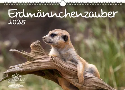 Produktbild von Erdmännchenzauber DIN A3 Kalender für 2025 Erdmännchen - Seelenzauber