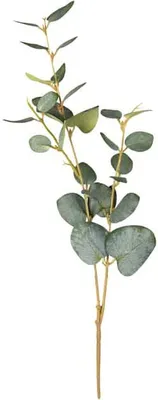 Produktbild von Künstliche Eukalyptus-Pflanze grün ca. 48 cm