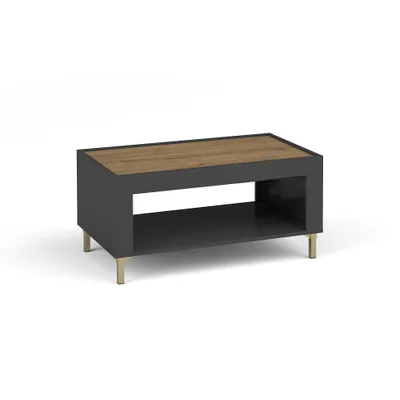 Image de Table basse MONTA 97×56 cm Table de salon avec étagère ouverte, noir
