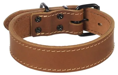 Image de Collier Chien Montana en cuir