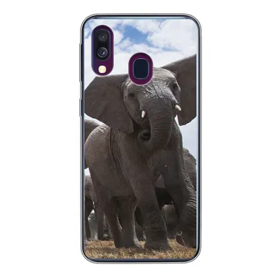 Produktbild von MuchoWow® Handyhülle Schutzhülle Hülle für Samsung Galaxy A40 Elefant - Tiere - Natur - Flachland Silikon Softcase Handy Hülle - Handy-Tasche