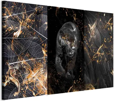 Obrázek produktu pro Obraz z netkaného plátna - Condemned (3 díly) 120x80 cm Abstrakt g-C-0350-b-e