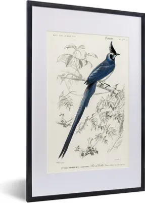 Produktbild von MuchoWow® MuchoWow® Gerahmtes Poster Vogel - Vintage - Zweig 40x60 cm - Poster mit zchwarzem Bilderrahmen - Poster in Rahmen