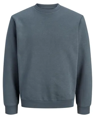 Productafbeelding van JACK & JONES Jjebradley Sweater Crew Neck