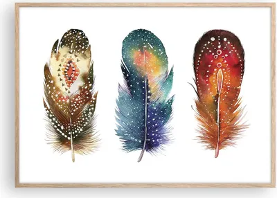 Produktbild von Gerahmtes Poster - Rahmen in heller Eiche - Feder Vogel Farbe - 100x70 cm - Wand Bild - Wanddeko - Wandbilder - Kunstposter - Wandposter - Bilderrahmen - Bilder - Kunstdruck - P2NAA100x70-4927