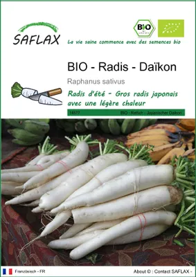 Image de SAFLAX  -- Radis - Daïkon - 100 graines - Raphanus