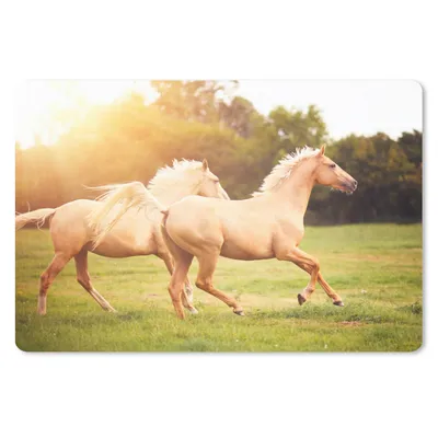 Produktbild von MuchoWow® Mauspad Mousepad Pferde - Gras - Sonne 27x18 cm - Mousepads - Maus Mat - Pad - Mausunterlage - Büroartikel - Desk Matten