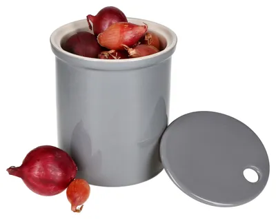 Obrázek produktu pro Skladovací nádoba Oskar M v šedé barvě Cibulový květináč s víkem Úložný box hliněný