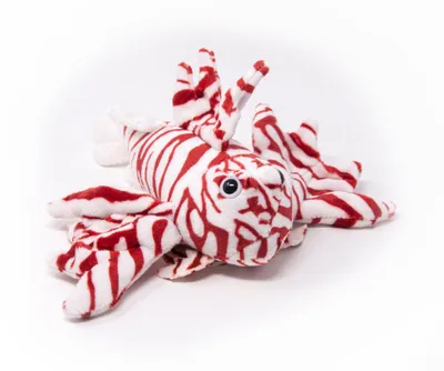 A plush toy of a red and white striped fish, likely a lionfish, is lying on a white background.