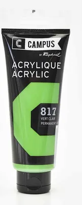 Immagine prodotto di Colore acrilico 100 ml - Verde chiaro n. 817
