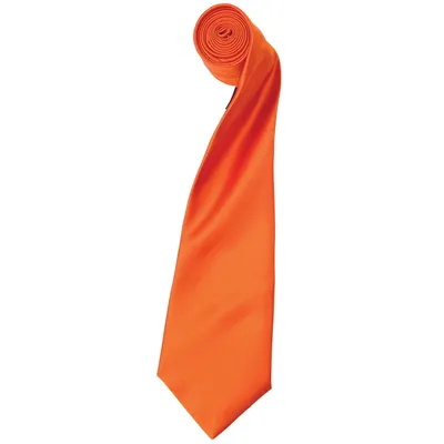 Image de Cravate en satin Premier pour homme, unie (2 pièces/paquet) RW6934 (taille unique) (Terracotta)
