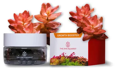 Productafbeelding van Aquarium Worteltabs voor Planten in het Aquarium