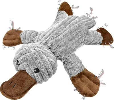 Produktbild von Robustes Hundespielzeug mit Knisterpapier und Seil
