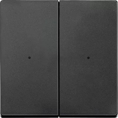 Obrázek produktu pro Merten Rocker anth. MEG5220-0414