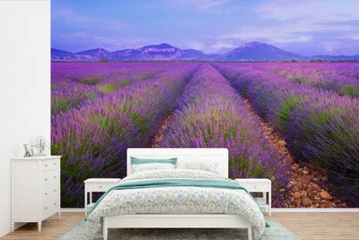 Produktbild von MuchoWow® Fototapete für Wohnzimmer oder Schlafzimmer Wandtapete Vinyl Motivtapete Lavendelfelder in der Abenddämmerung - 390x260 cm - Papiertapete