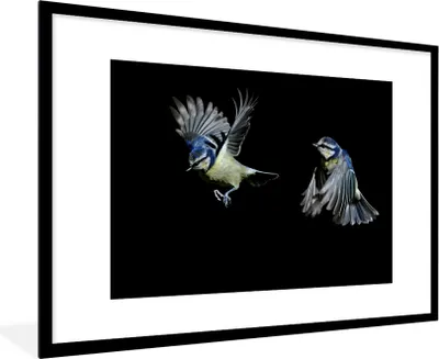 Produktbild von MuchoWow® MuchoWow® Gerahmtes Poster Vögel - Federn - Schwarz 90x60 cm - Poster mit zchwarzem Bilderrahmen - Wanddekoration - Fotos