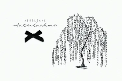 Produktbild von Trauer Beileid Kondolenz Karte mit Briefumschlag Trauerweide, Herzliche Anteilnahme