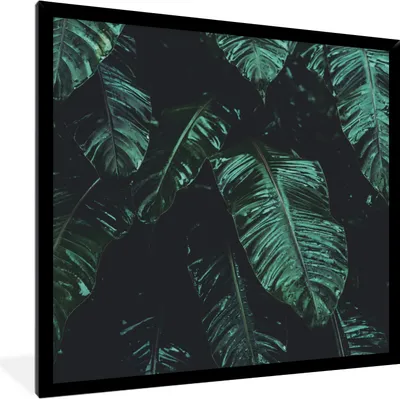 Produktbild von MuchoWow® Gerahmtes Poster Dschungel - Palme - Blätter - Tropisch 40x40 cm - Poster mit Schwarzem Bilderrahmen Wandposter Rahmen Foto Bilder - Mit Rahmen - Wanddekoration Schlafzimmer