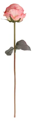 Produktbild von Künstliche Rosen für Blumenarrangements, realistischer Rosenstrauß aus Kunstseide mit langem Stiel, ideal für Hochzeitsdekorationen, Heimdekorationen und Partys