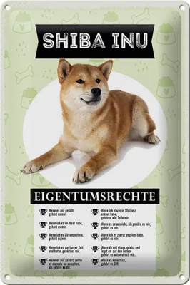 Produktbild von Blechschild Spruch 20x30cm Shiba Inu Eigentumsrechte