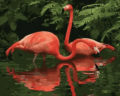 Obrázok produktu pre Obraz podľa čísel: Flamíngo, 40x50 cm