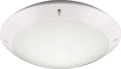 Obrázek produktu pro Venkovní plafón CAMARO R60501031 RL