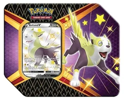 Produktbild von Pokemon Shining Fates: Boltund V Tin