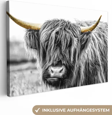 Zdjęcie produktu dla MuchoWow® - Obraz na płótnie - Szkocki góral - Rogi - Złoto - Czarny, fototapeta, dekoracja ścienna, obrazy do salonu, 60x40cm