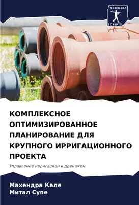 Produktbild von KOMPLEKSNOE OPTIMIZIROVANNOE PLANIROVANIE DLYa KRUPNOGO IRRIGACIONNOGO PROEKTA