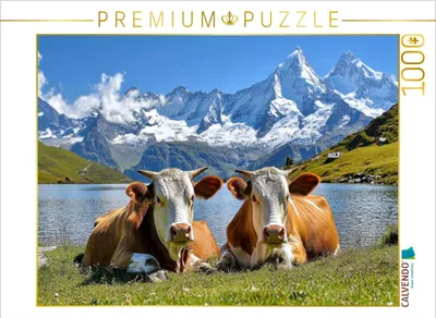 Produktbild von CALVENDO Puzzle Wir machen Pause | 1000 Teile Lege-Größe 64x48cm Foto-Puzzle für glückliche Stunden