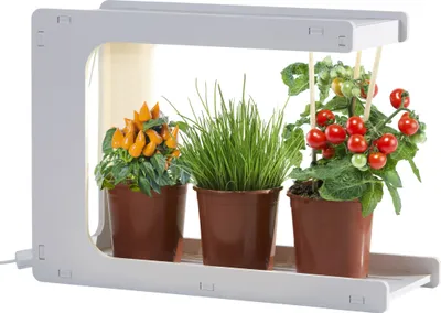 Produktbild von LED Pflanzenleuchte Gewächslampe Pflanzenlicht 14W Grow Kräutergarten