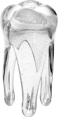 Produktbild von Glaszahn Trophäe 16cm weiß