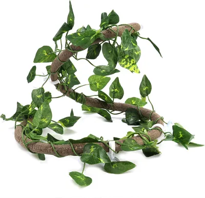 Zdjęcie produktu dla Gałąź wspinaczkowa dla gadów Elastyczna dżungla 3.28ft Rattan 1Pc Winorośl (3.28ft Rattan + Liście Scindapsus)