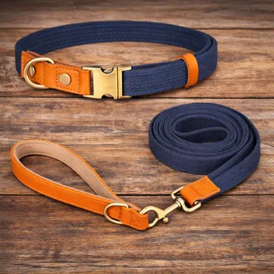 Produktbild von Hundeleine & Halsband Set aus Nylon mit Leder – robust, hochwertig, 1,5 m Leine – für kleine & große Hunde 7 Farben verfügbar navyblau Größe S