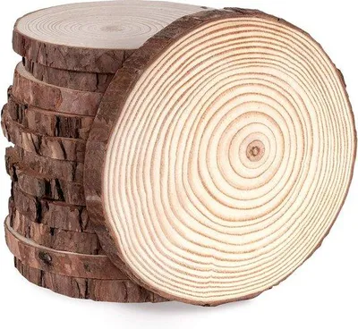 Produktbild von Famanu Holzscheiben 12 Stück - 12-13 cm, natürliches Holz, rund, 10 mm dick
