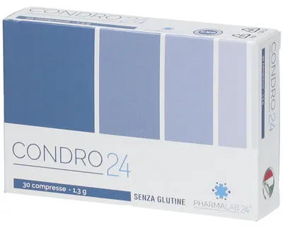 Obrázok produktu pre CONDRO24, 30 tabliet