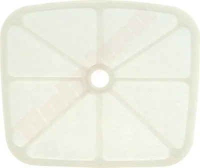 Immagine prodotto di Filtro aria Bt01 136X115X4