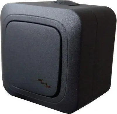 Immagine prodotto di Liregus Two Way Switch  Pp6 10-008 Bl Hermi