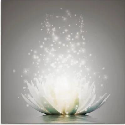 Produktbild von ARTland Glasbild Magie der Lotus-Blume - grau Größe: 50x50 cm
