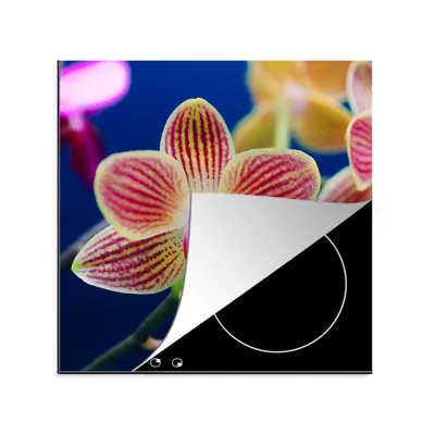 Produktbild von KitchenYeah© Herdabdeckplatte Von Orchidee , 78x78cm, Küche Deko, Glaskeramikkochfeld Herdabdeckung, Abdeckplatte fùr Kochfeld