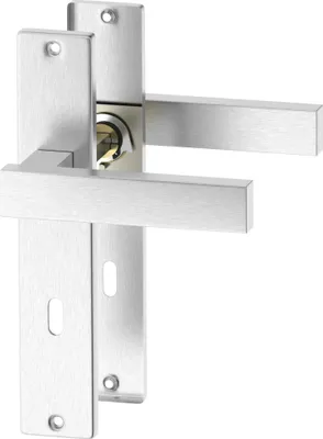 A close-up studio shot of a silver door handle set against a white background.