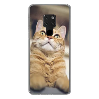 Produktbild von MuchoWow® Handyhülle Schutzhülle Hülle für Huawei P40 Lite Katze - Bank - Orange Silikon Softcase Handy Hülle - Handy