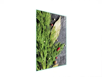 Immagine prodotto di Tagliere in vetro 35x52 FENEL