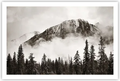 Produktbild von Poster - Poster ohne Rahmen - Nebel Berg Wald - 91,5x61 cm - Wand Bild - Wanddeko - Wandbilder - Kunstposter - Wandposter - Bilder - Kunstdruck - Wanddekoration - Wandbild - P2XAA91x61-4936