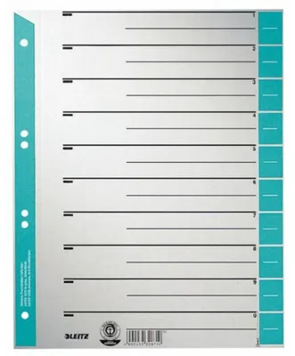 Immagine prodotto di Leitz 1652-00-30 1652 fogli divisori - A4 extra larghi, blu chiaro, bordo perforato colorato, 100 pezzi