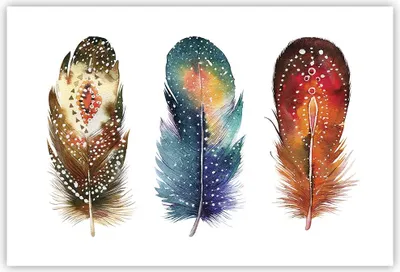 Produktbild von Poster - Poster ohne Rahmen - Feder Vogel Farbe - 91,5x61 cm - Wand Bild - Wanddeko - Wandbilder - Kunstposter - Wandposter - Bilder - Kunstdruck - Wanddekoration - Wandbild - P2XAA91x61-4927